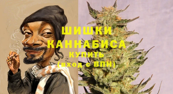молекула духа Протвино