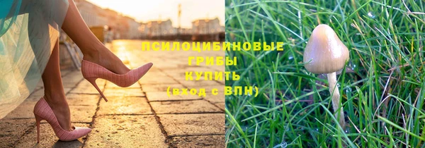молекула духа Протвино