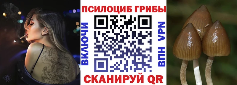 Галлюциногенные грибы мухоморы  купить наркотики сайты  Белово 