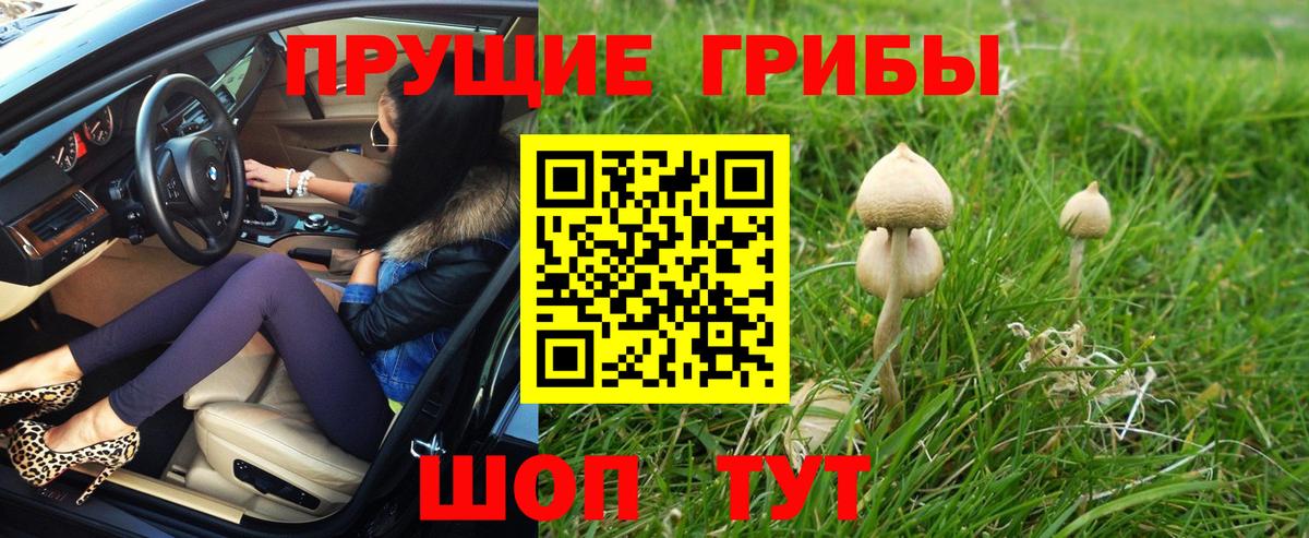 Белово  Псилоцибиновые грибы мухоморы  Вход с VPN 